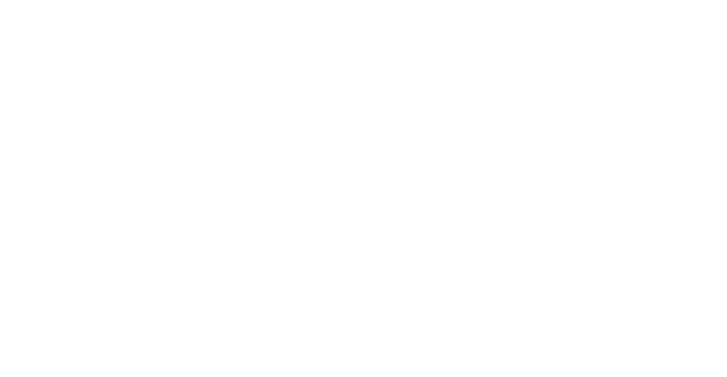 VAIS Logo